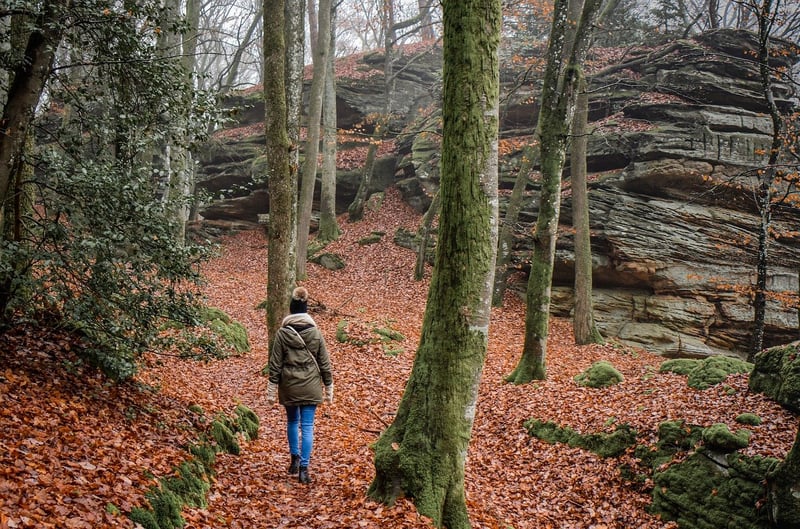 Outdoor Walking